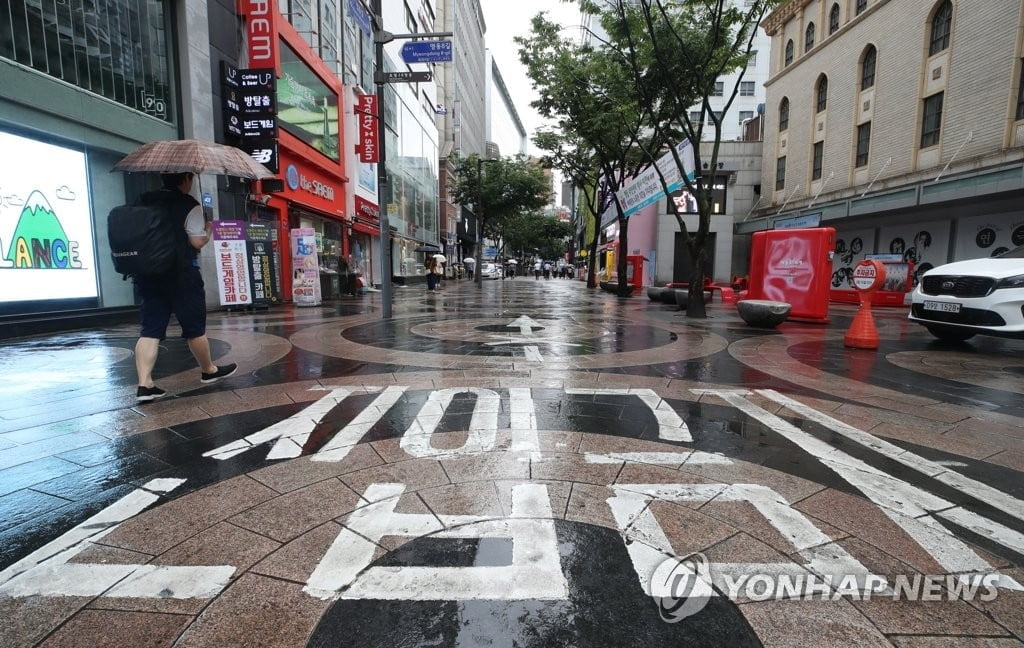 "V자 반등 어려워"…다시 소비쿠폰 카드 꺼낸 정부