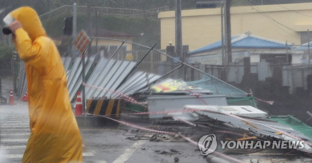 `바비` 북상에 남부 피해 속출…"가로수 뽑히고 도로까지 침몰"