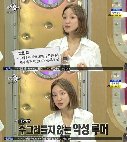 신소율 "고위 공무원에 명품백 받은 연예인, 나 아냐" 루머 해명