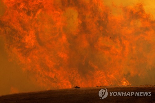 미 캘리포니아 남부 산불…주민 1천여명 강제 대피령