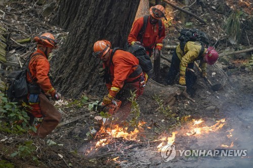 "캘리포니아 산불 역대 두 번째"…트럼프, '재난지역' 선포