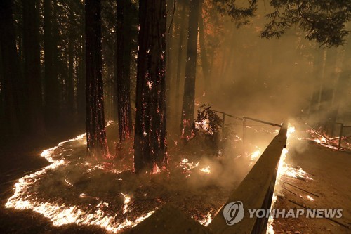 캘리포니아 산불 서울면적 6배 태워…호주·캐나다에 도움 요청