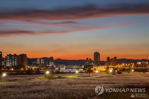 태화강 국가정원에 10억 들여 정원형 생태 주차장