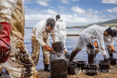 "복원에 수십년" 모리셔스 日선박 기름유출에 전문가 경악