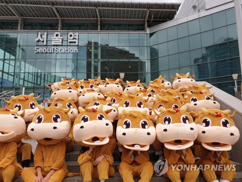 횡성군 4대 축제 취소…한우축제는 온라인 개최