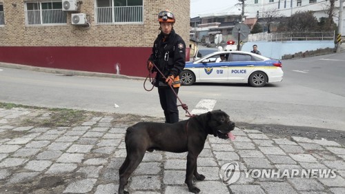 [펫·보·이] "안 물어요" 하기보다 보험 준비…한달 천원이면 충분