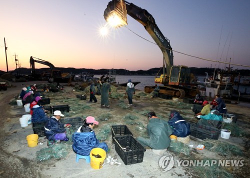 인천시, 연평도 가을 꽃게잡이 앞두고 안전조업 대책반 가동