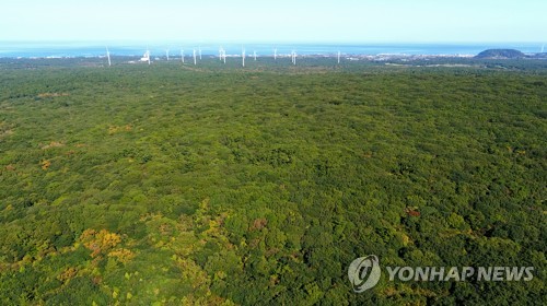 환경단체 "제주도가 람사르지역위원장 사퇴 압력"…감사 의뢰