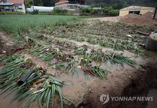 폭우로 가축 30만마리 폐사하고 농작물 6천㏊ 침수