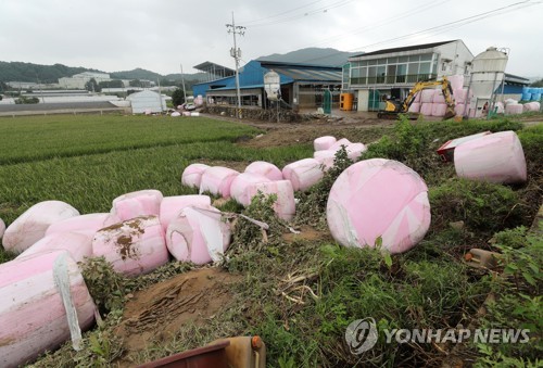 "치워도 치워도 비가 또 쏟아지니"…충남 수해 복구 난항(종합)