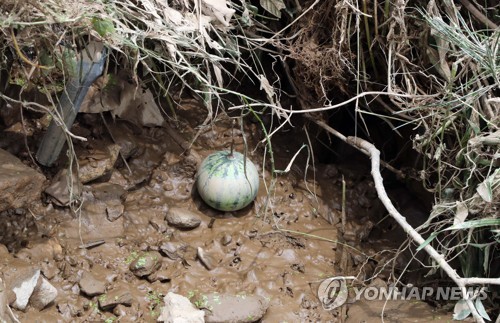 충남 수해 응급 복구·실종자 수색 총력…무더위 이중고(종합)