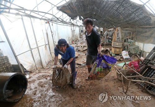 퍼내고 치우느라 비지땀 한 바가지…충남 수해 상처 회복 중(종합2보)