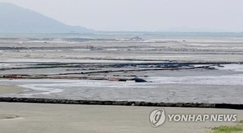 전북 NGO "잼버리 핑계로 갯벌 파괴 말라"…연맹·여가부에 서한