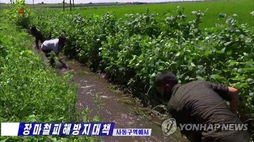 "또 폭우 온다니 대비하자"…북한, 농경지 수해복구 총력