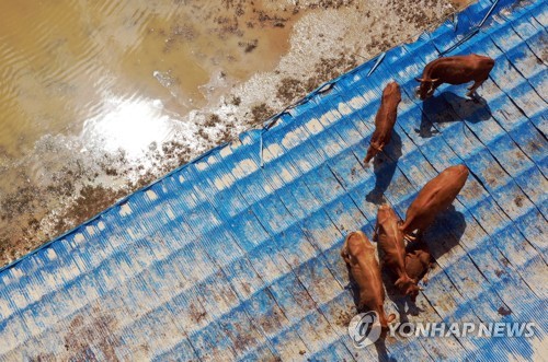 수마 할퀸 전국 곳곳 처참한 참상…태풍 '장미'까지 덮친다(종합)