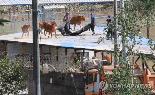 전남 재산피해 잠정집계 2천800억…담양 피해액 가장 커