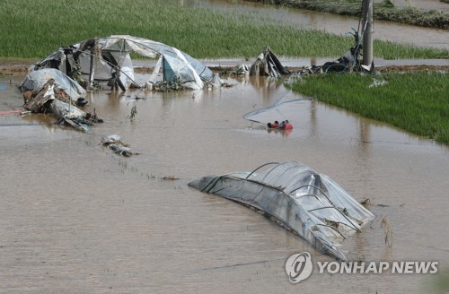 주말-휴일 중부에 비 150mm 넘게 왔다…내일 태풍 '장미' 영향권