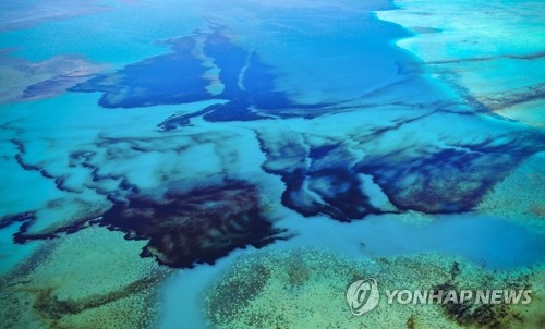 "복원에 수십년" 모리셔스 日선박 기름유출에 전문가 경악(종합)