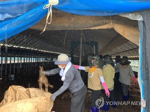 '코로나19, 의지로 극복' 곡성 민관군 합심으로 수해복구 재개