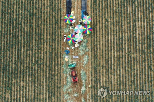 서울시, 강원도 농촌서 열흘간 일할 시민 100명 모집