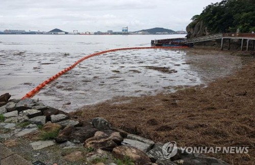 문성혁 해수부 장관, 휴가 취소하고 직원들과 해양쓰레기 수거