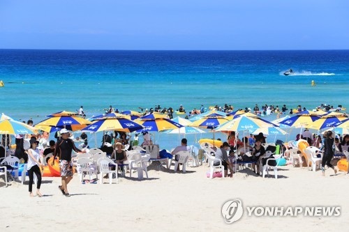 태풍 불어도, 술 마셔도 바다에 '풍덩'…안전불감증 심각