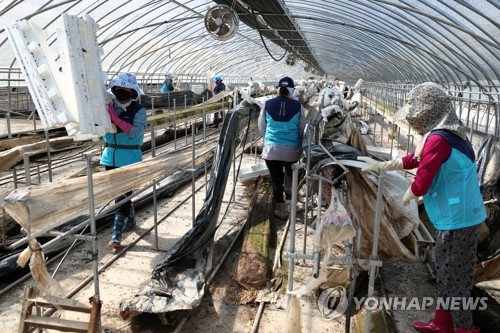 "1초가 급한데" 코로나 재확산 조짐에 수해복구 차질 우려