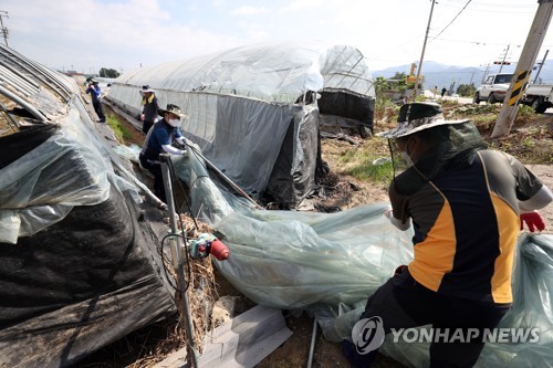 "1초가 급한데" 코로나 재확산 조짐에 수해복구 차질 우려