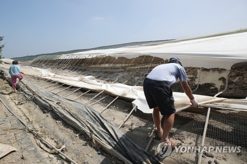 곡성군 코로나19 확산에 중단한 수해복구 재개…1천200여명 지원