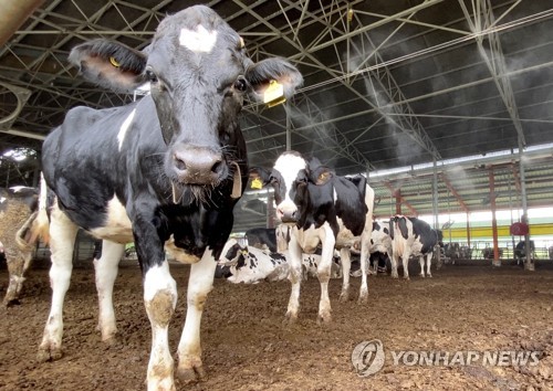 [내일날씨] 더위 물러간다는 '처서'…폭염·소나기 계속