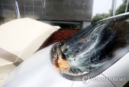 곳곳 '암전'에 가로수 두동강…'바비' 강풍에 휘청인 한반도