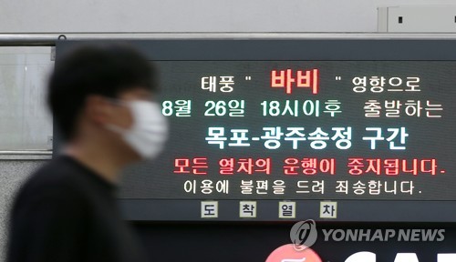 가로수 쓰러지고 도로 잠겨…광주·전남 태풍 피해(종합2보)