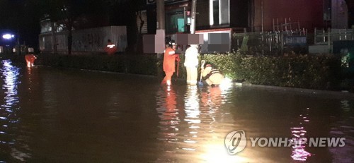 가로수 쓰러지고 도로 잠겨…광주·전남 태풍 피해(종합2보)