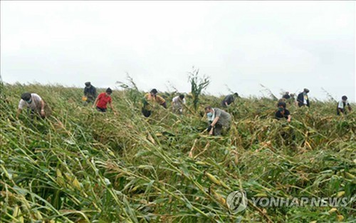 북한 중앙당 간부들, 황해남도 태풍피해 복구에 '총동원'