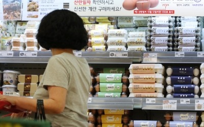 주변국 잇따라 조류독감 발병…정부 "올 겨울 국내 유입 우려"