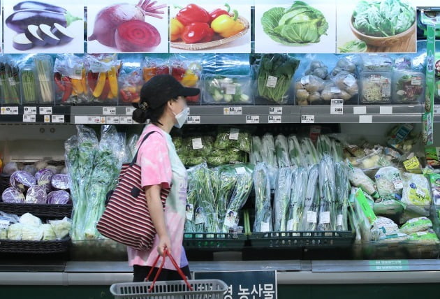 지난달 소비자물가 상승률이 보합을 기록하며 한 달만에 하락을 멈췄다. 2일 통계청의 '소비자물가 동향'에 따르면 6월 소비자물가지수는 104.87(2015년=100)로 지난해 같은 기간과 같았다.사진=연합뉴스