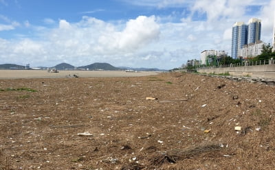 폭우로 떠밀려온 쓰레기, 목포 앞바다 2㎞ 점령