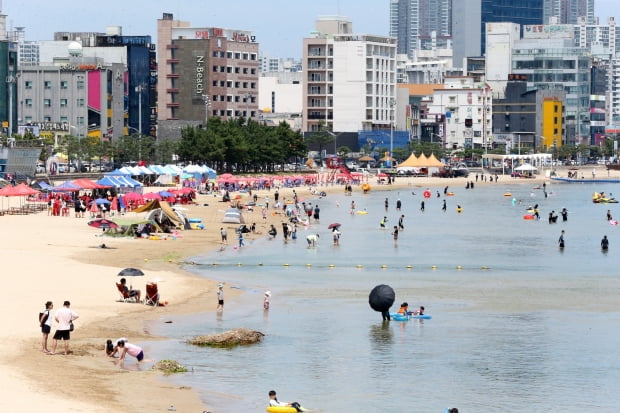 포항 북구 영일대해수욕장에서 물놀이하는 피서객. 사진=연합뉴스