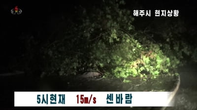 북한 향하는 태풍 '바비'…"가로수 꺾이고 홍수경보"