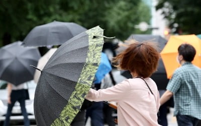 수도권 태풍 '바비' 피해 예상보다 적어…태풍특보 해제