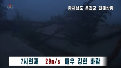 태풍 '바비' 북한 상륙…"도로 곳곳 끊기고 가로수 뽑혀"