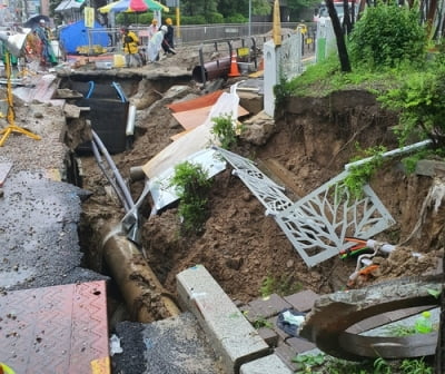 서울 곳곳 나무 쓰러지고 도로 침하…비바람에 사고 잇따라(종합)