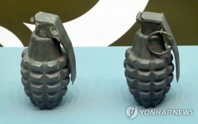 관악수목원 인근서 한국전쟁 때 사용 추정 수류탄 발견