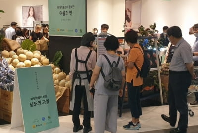전남농협-현대백화점, 아열대과일 브랜드 '오매향' 홍보