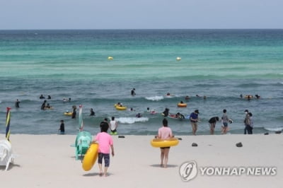 제주 올해 최고기온 연일 경신…수온·전력 사용량도 '껑충'