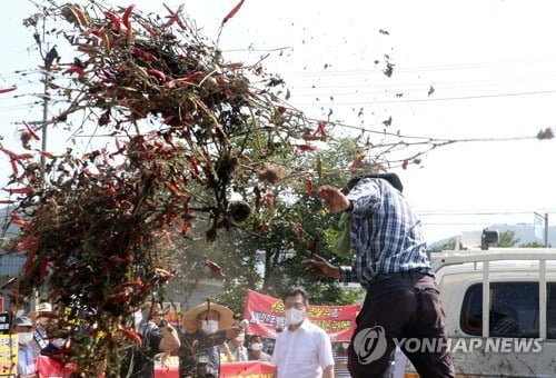 용담댐 방류 피해 성난 주민들, 썩은 과일 뿌리며 수공에 항의