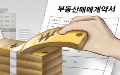 '6·17 대책으로 갭투자 잡았다'…강남 4구 갭투자 '반토막'
