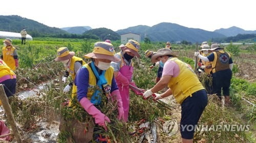 코로나19 확산에 충북 수해지역 자원봉사 발길 '뚝'