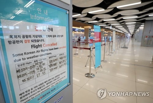 태풍 '바비'에 국내선 항공기 459편 결항…제주공항은 모두 취소