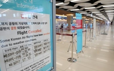 태풍 '바비'에 국내선 항공기 459편 결항…제주공항은 모두 취소